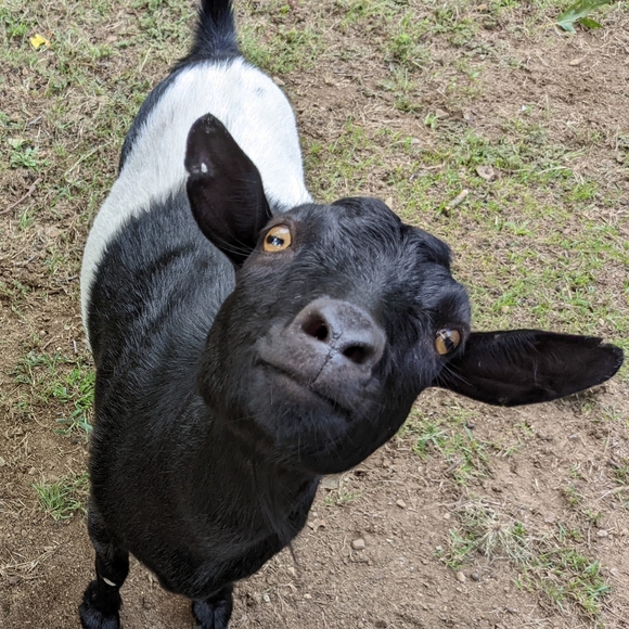 20% Off Bundles Of Two Items Or More - Picture 8 of 10